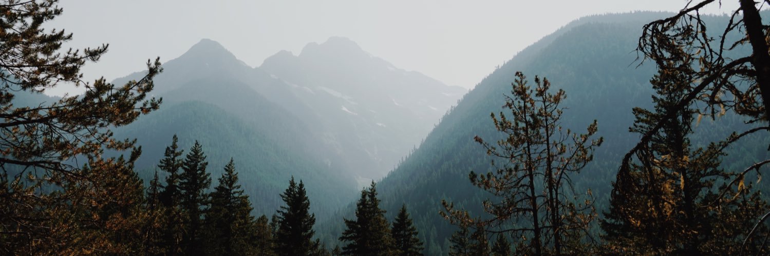 abbey_behan's profile banner image