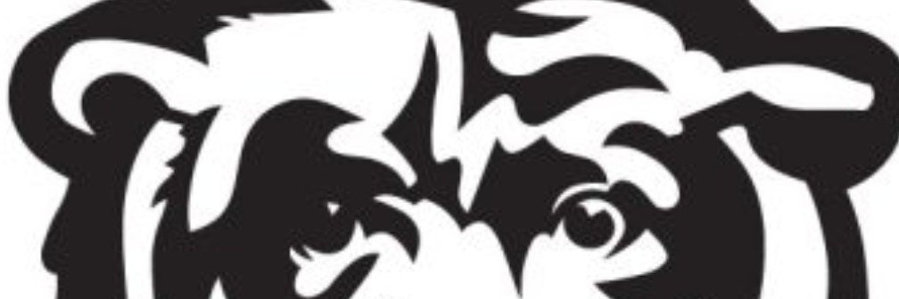 NvstyV2's profile banner image
