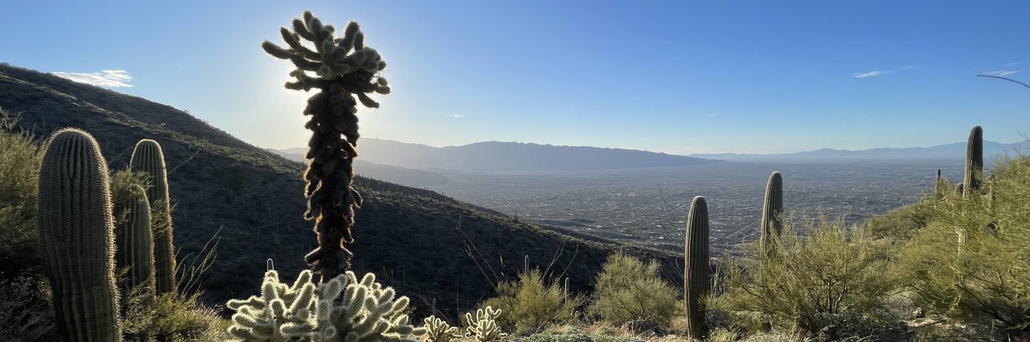 alexdbroad's profile banner image