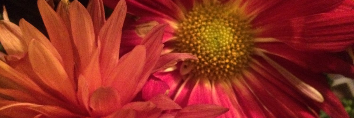 SarahStGeorges's profile banner image