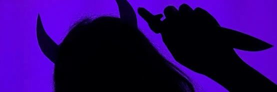 brlinn_'s profile banner image