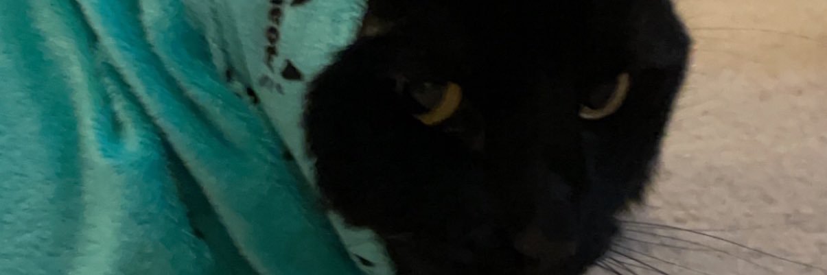 MeeksJason's profile banner image