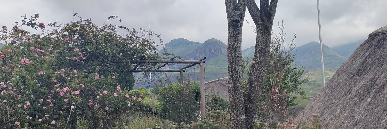 ntwanix's profile banner image