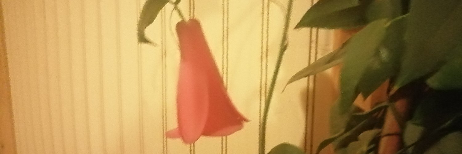 rosar1965's profile banner image