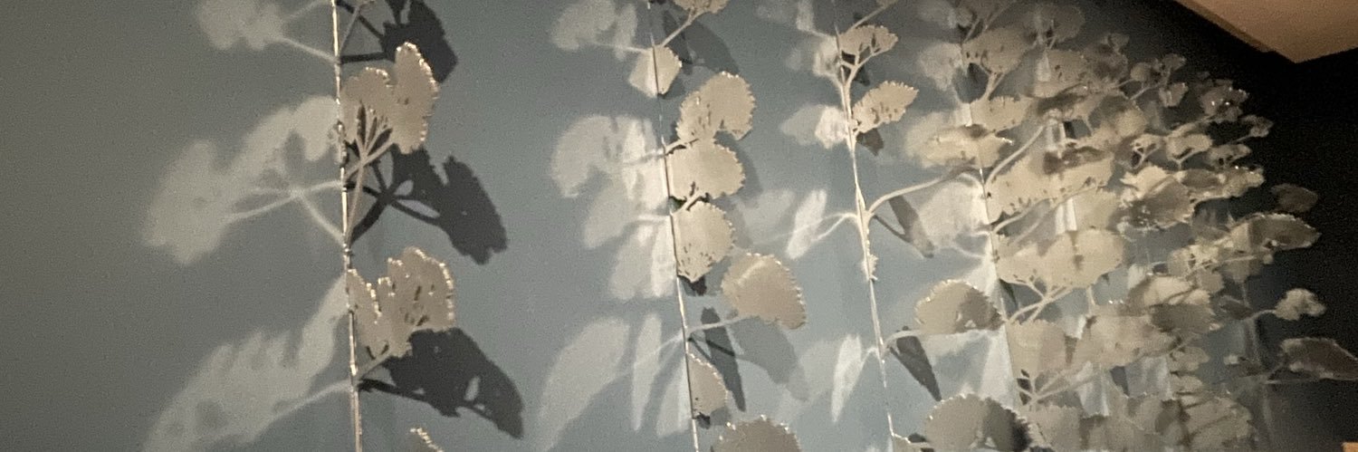 EmilyMonster_'s profile banner image