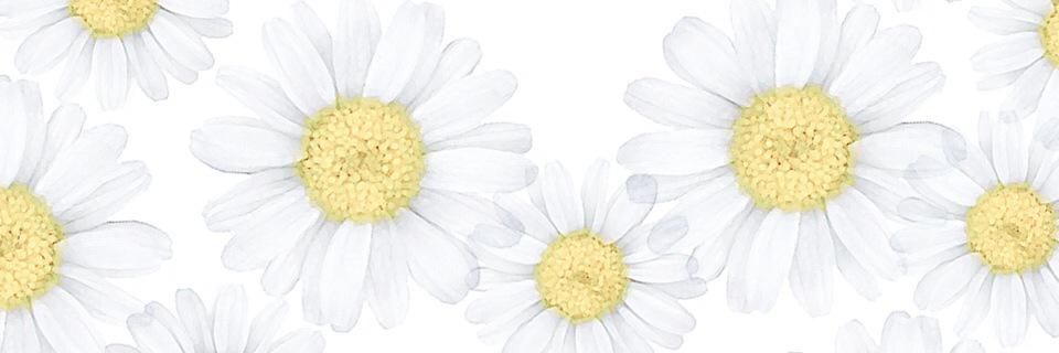 ayumin713's profile banner image