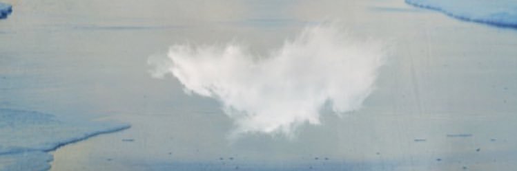 LPhikkips's profile banner image
