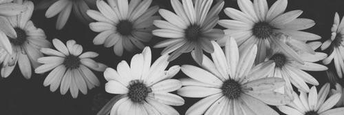 Ruthi (: banner