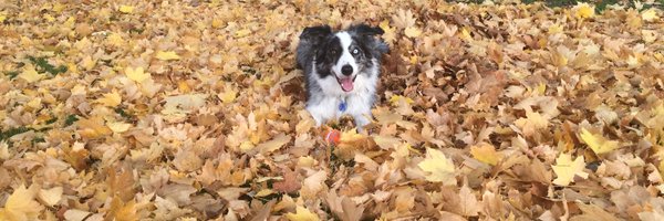 QuinMiller Profile Banner