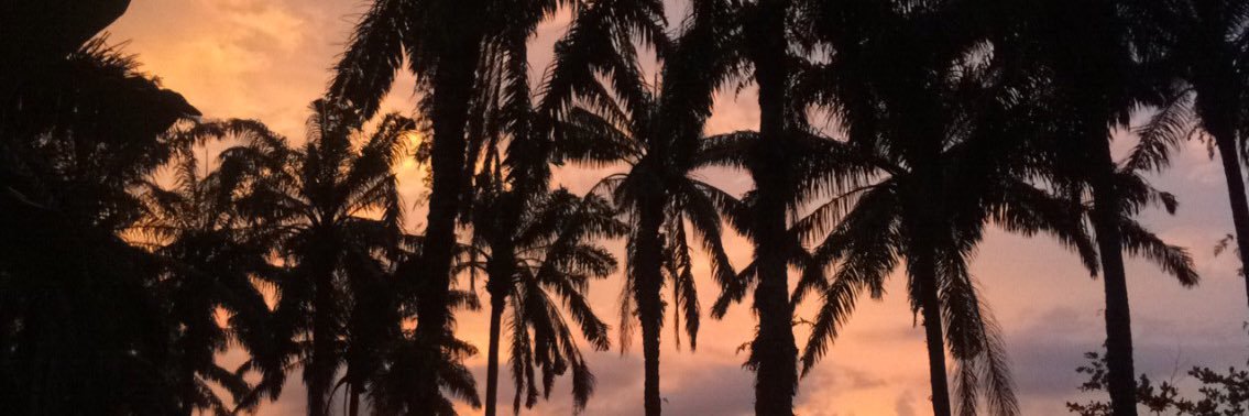 Misriyani_13's profile banner image