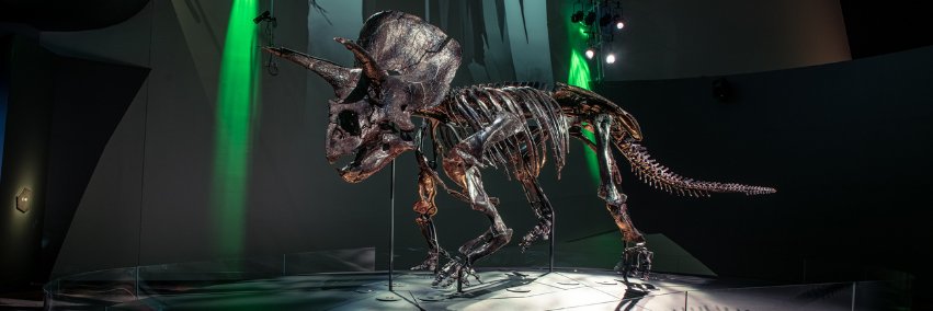 Melbourne Museum banner