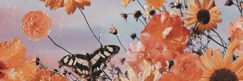 mason3907's profile banner image