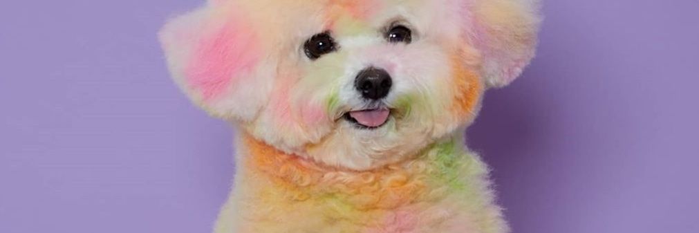 AgungDiahN's profile banner image