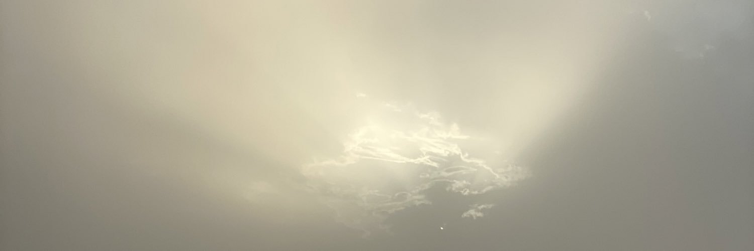 mmalamer's profile banner image