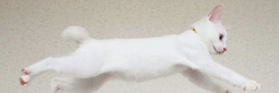 theevreu's profile banner image