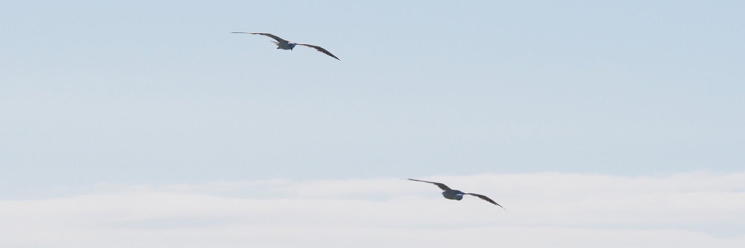 Tommy Vercettioğlu banner