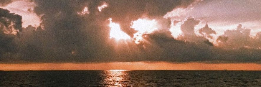 ntmhby's profile banner image