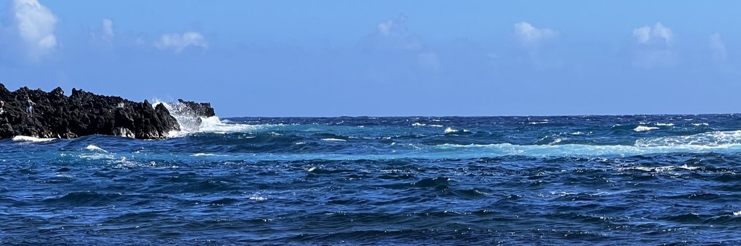 Jeffrey Barsuk banner