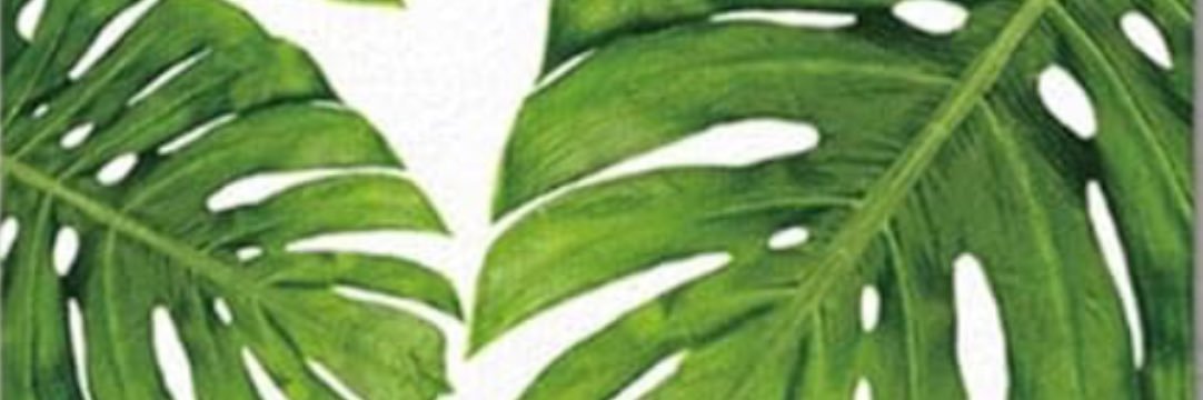 i 🌸 banner