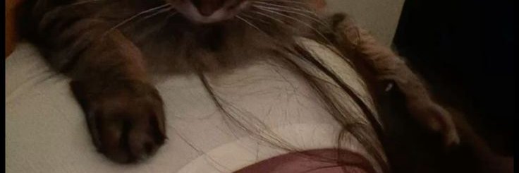 sayaayui's profile banner image