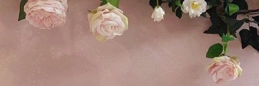 praaw banner
