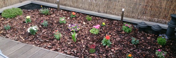 DjeeDeeBee Profile Banner