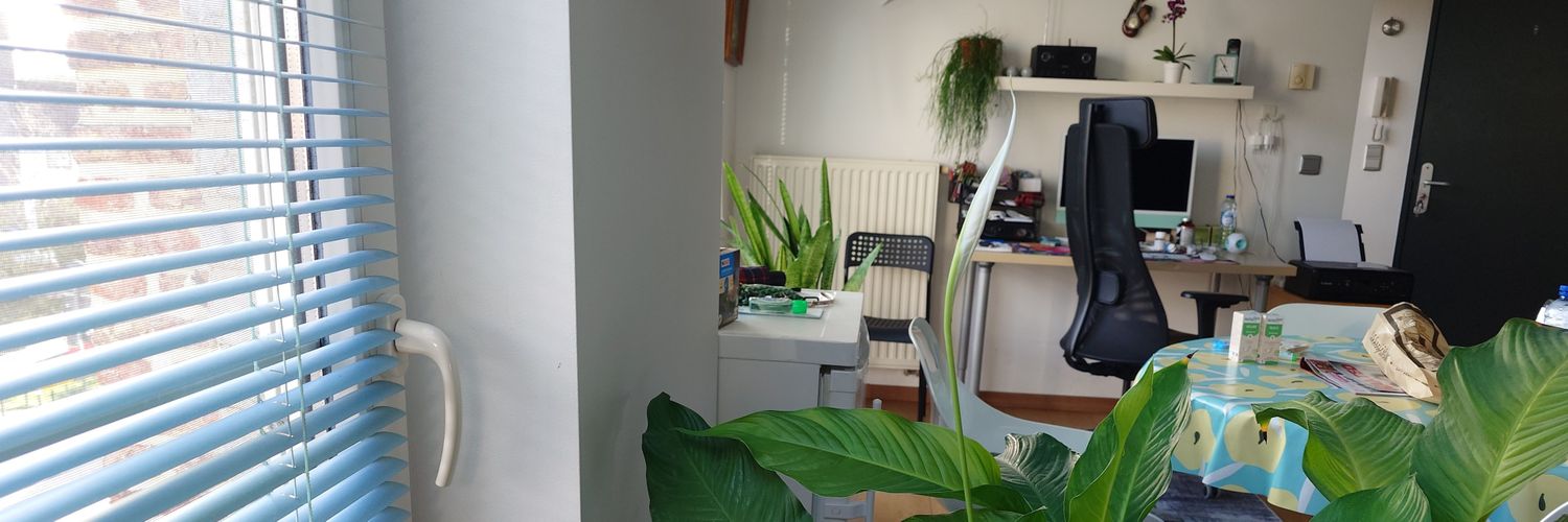 Geert De Busschere banner