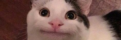 RAVENIA__'s profile banner image