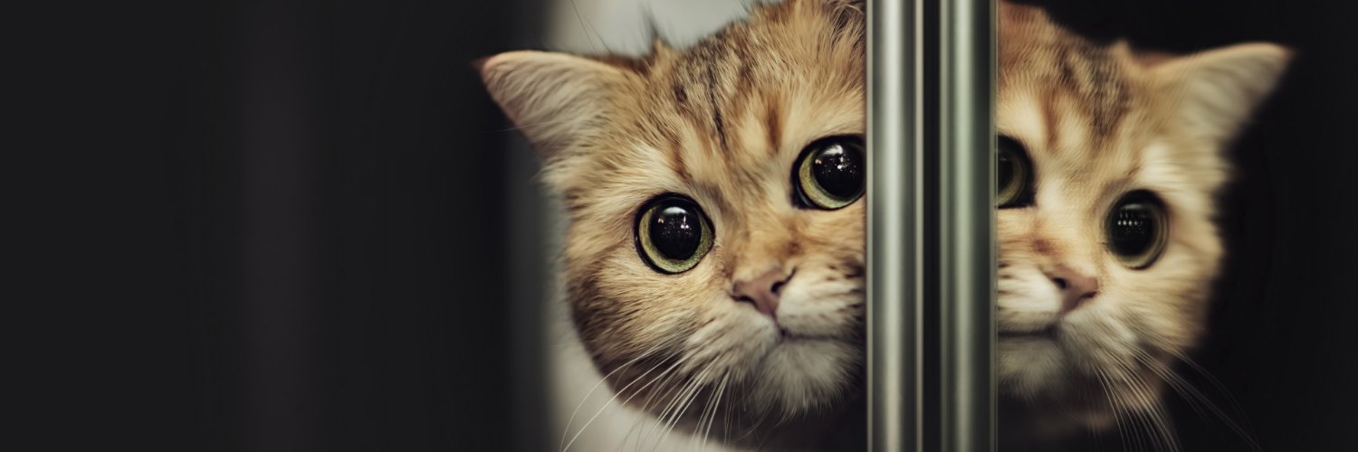 Do_NOOt_Worry's profile banner image