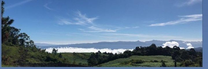 sandraR_18's profile banner image