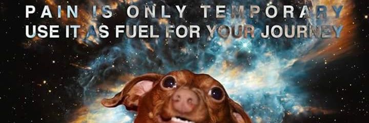 letsplaythelife's profile banner image