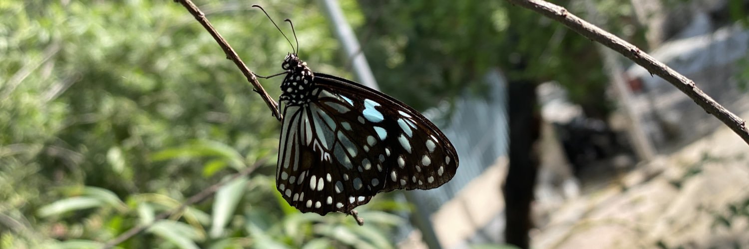 manishtripathi1's profile banner image