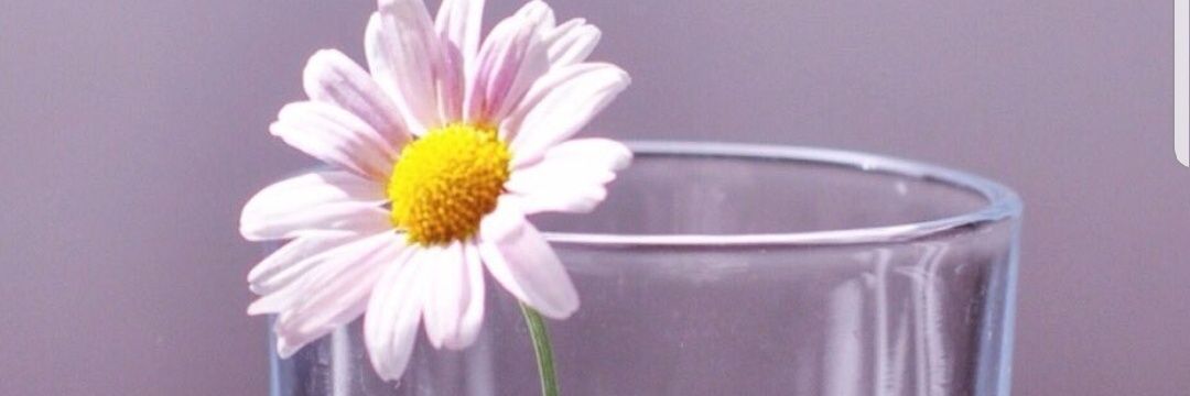 m3m223's profile banner image