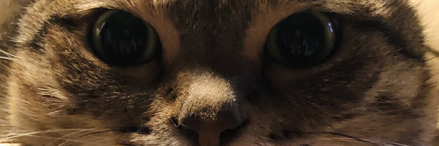 myam's profile banner image
