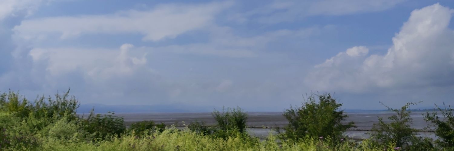 labennett64's profile banner image