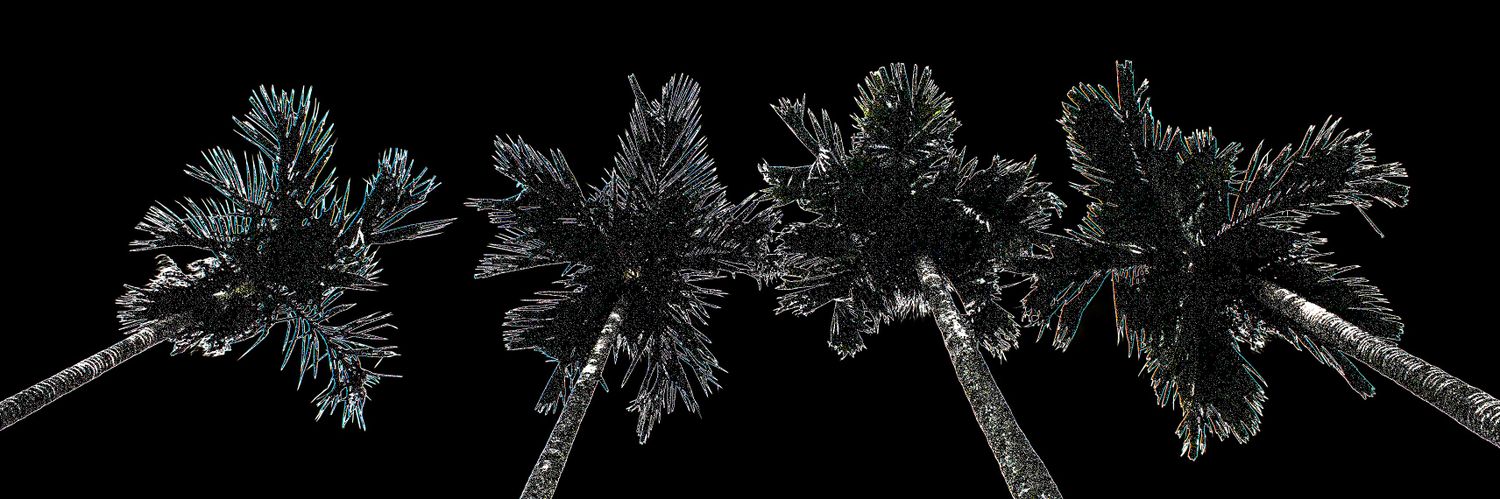 helintryn's profile banner image