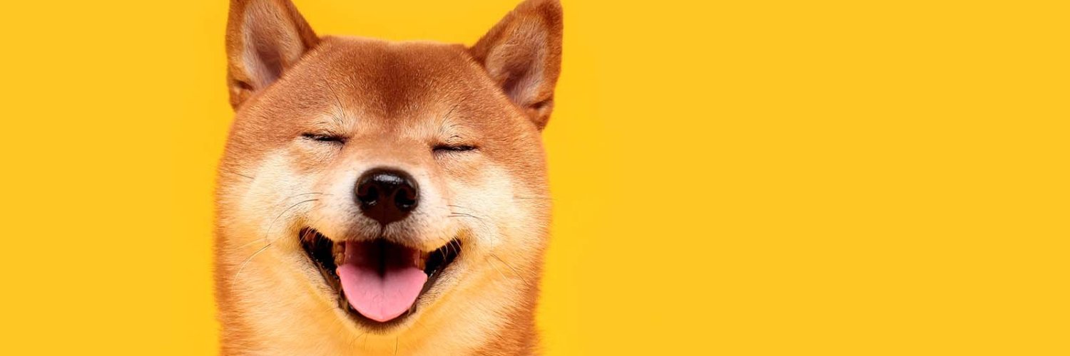 ambershib's profile banner image