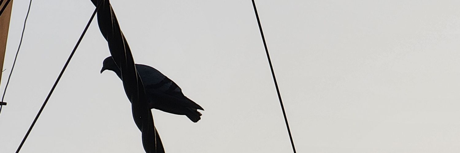 Binodan's profile banner image
