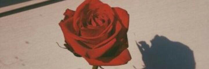 icaaindri's profile banner image