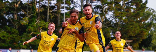 PlymouthPFC Profile Banner