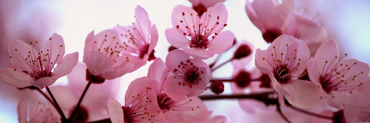 B1LL1's profile banner image