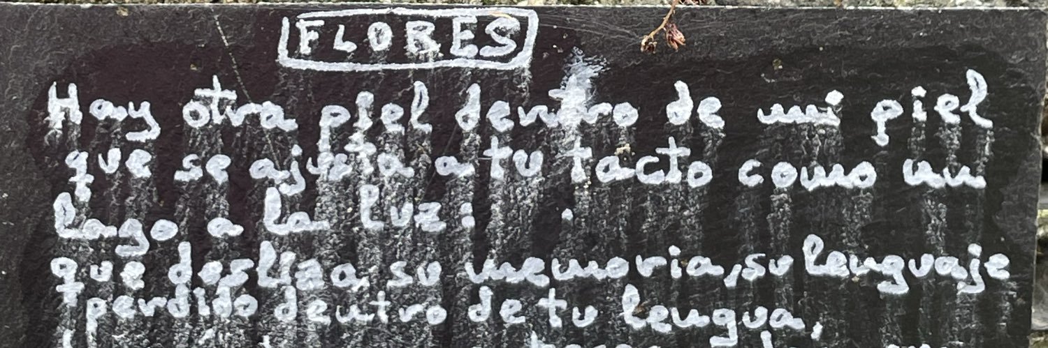 m banner