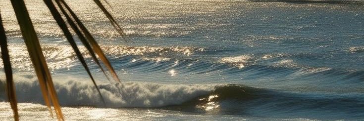 sofiacore_'s profile banner image