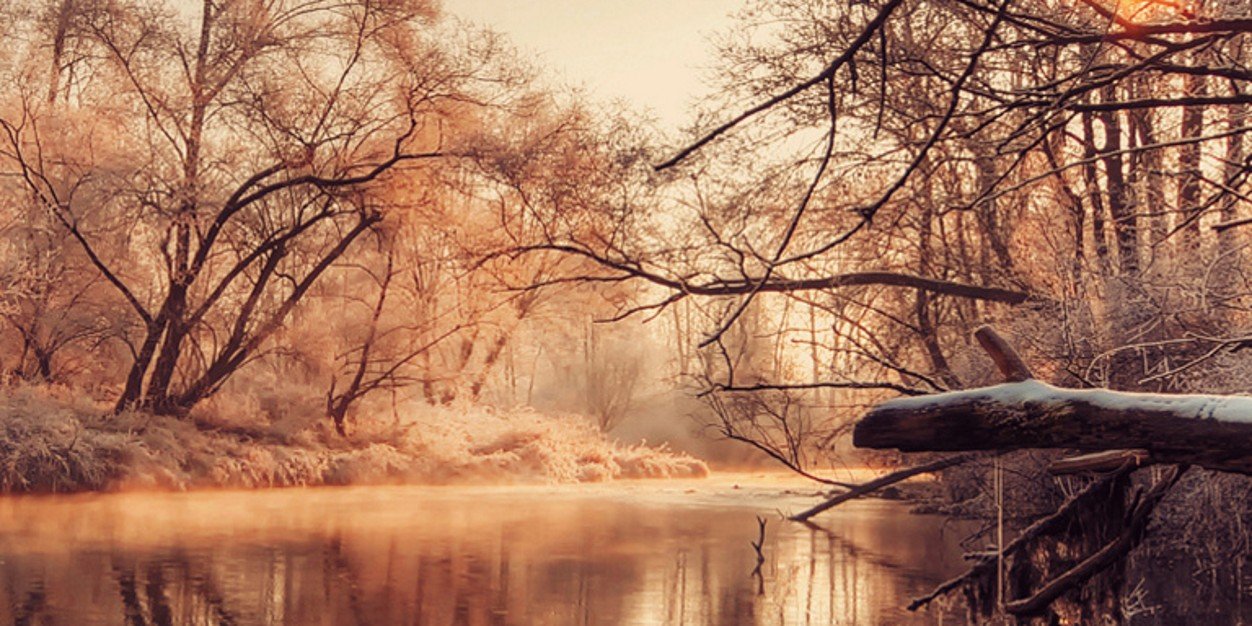 ludidu33's profile banner image