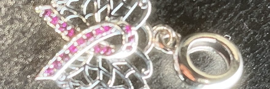 PenelopeLS's profile banner image