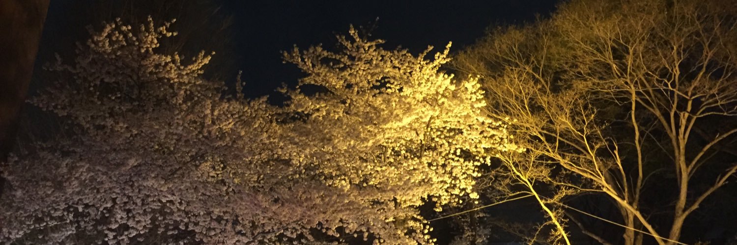 Roex44's profile banner image