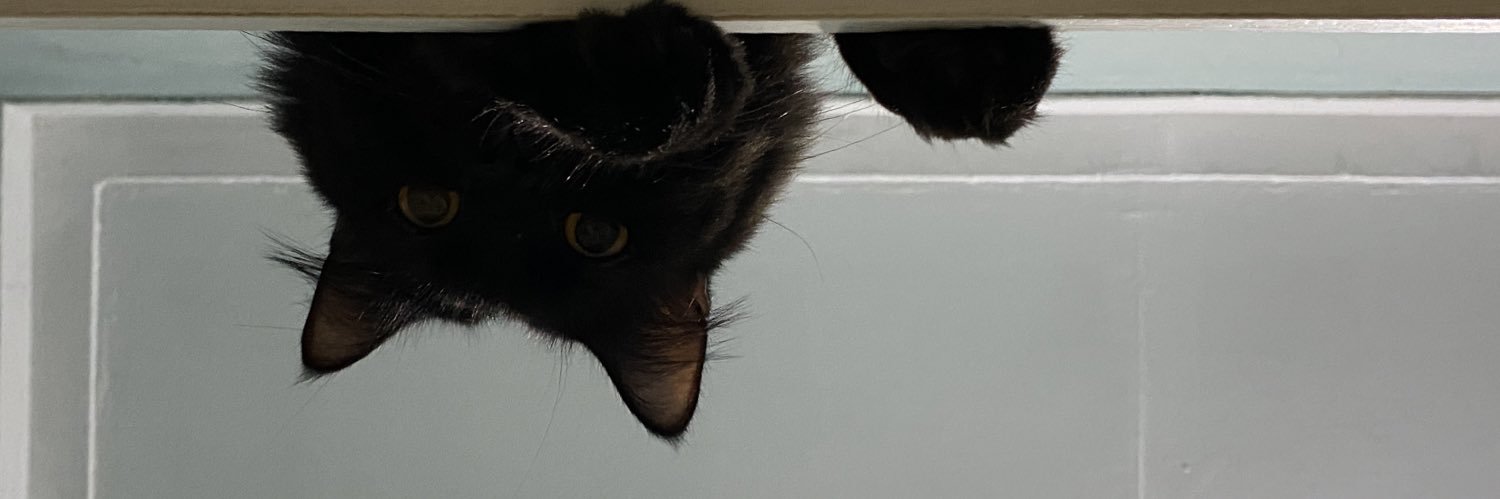 🌑☀️ banner
