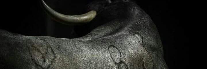 JoseluisPalazon's profile banner image