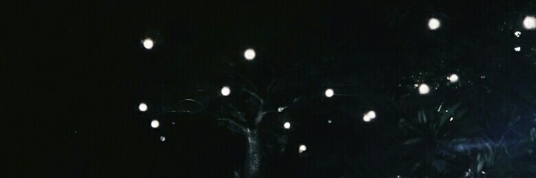 beermowtt's profile banner image