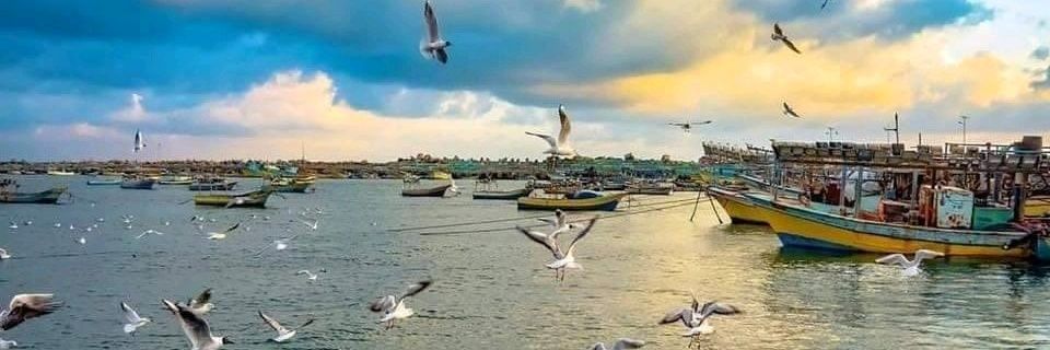 FirasAlhakim's profile banner image
